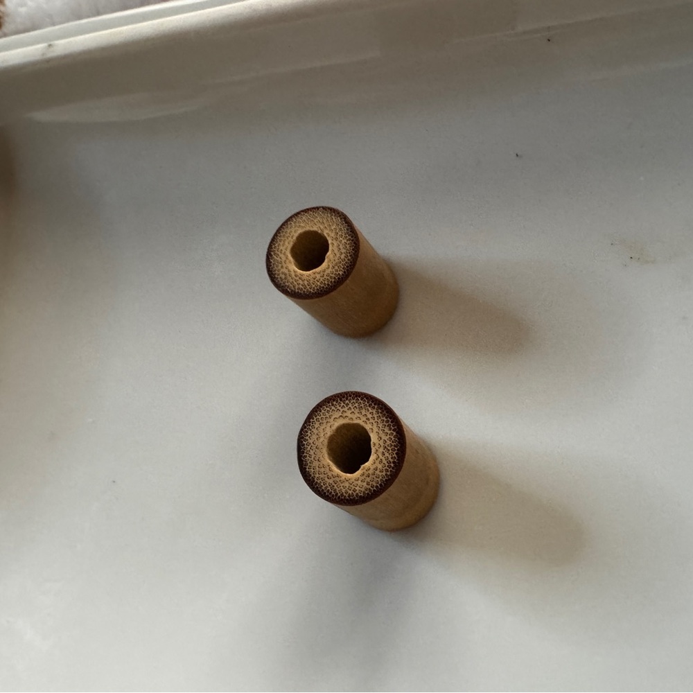 Bamboo plug earrings